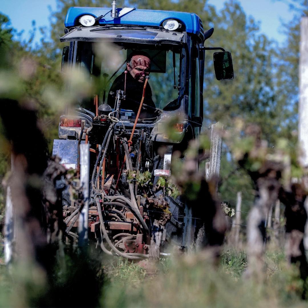 Terroir Vignoble Maulin